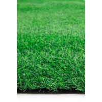 Artificial Grass Turf Outdoor or Indoor Event Roll Lush Pile 20mm Pile 2m Wide by the Meter