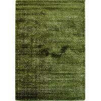 Hand Loomed Art Silk & Wool Hampton Green Area Floor Rug